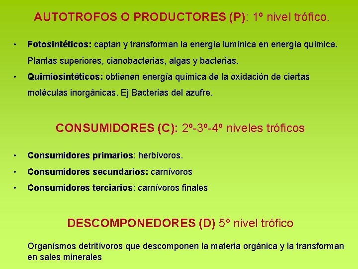 AUTOTROFOS O PRODUCTORES (P): 1º nivel trófico. • Fotosintéticos: captan y transforman la energía AUTOTROFOS O PRODUCTORES (P): 1º nivel trófico. • Fotosintéticos: captan y transforman la energía