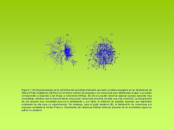 Figura 1: (A) Representación de la red trófica del ecosistema terrestre asociado a Figura 1: (A) Representación de la red trófica del ecosistema terrestre asociado a