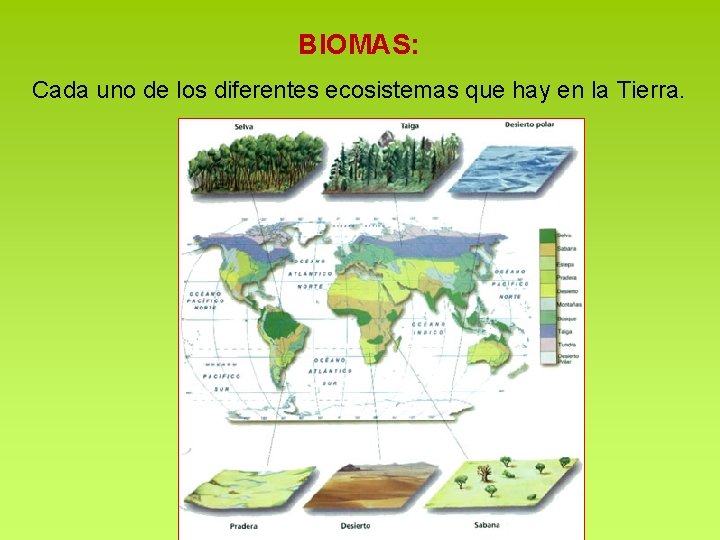 BIOMAS: Cada uno de los diferentes ecosistemas que hay en la Tierra. BIOMAS: Cada uno de los diferentes ecosistemas que hay en la Tierra.
