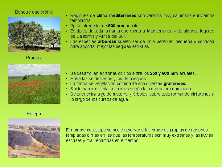 Bosque esclerófilo • Regiones de clima mediterráneo con veranos muy calurosos e inviernos templados. Bosque esclerófilo • Regiones de clima mediterráneo con veranos muy calurosos e inviernos templados.