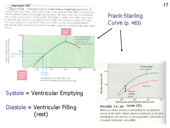 17 Sherwood 1997 Frank-Starling Curve (p. 483) Systole = Ventricular Emptying Diastole = Ventricular 17 Sherwood 1997 Frank-Starling Curve (p. 483) Systole = Ventricular Emptying Diastole = Ventricular