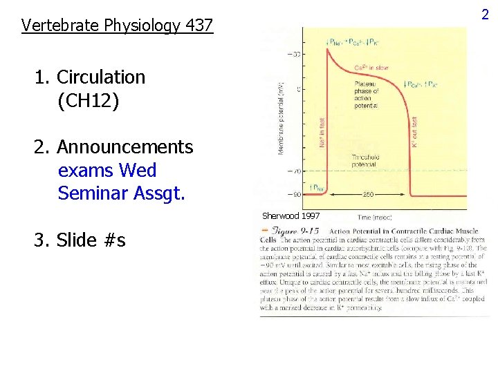 2 Vertebrate Physiology 437 1. Circulation (CH 12) 2. Announcements exams Wed Seminar Assgt. 2 Vertebrate Physiology 437 1. Circulation (CH 12) 2. Announcements exams Wed Seminar Assgt.