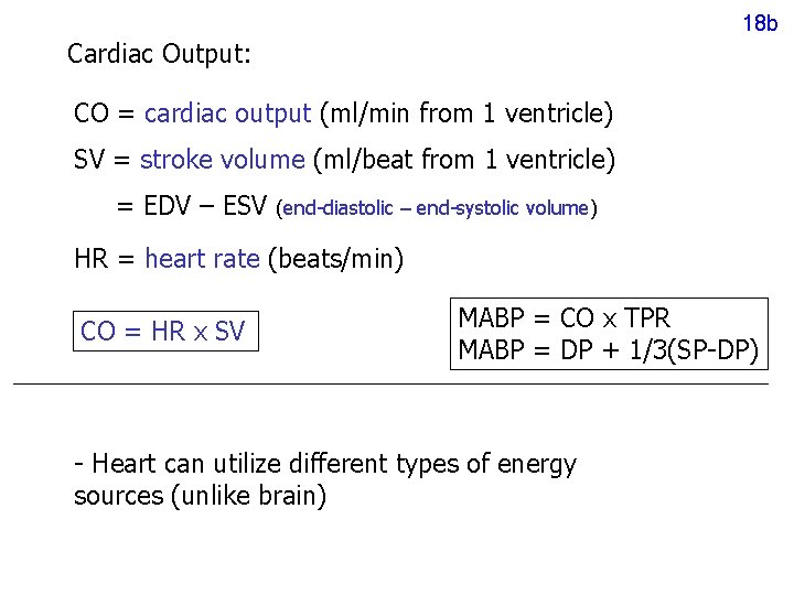 18 b Cardiac Output: CO = cardiac output (ml/min from 1 ventricle) SV = 18 b Cardiac Output: CO = cardiac output (ml/min from 1 ventricle) SV =