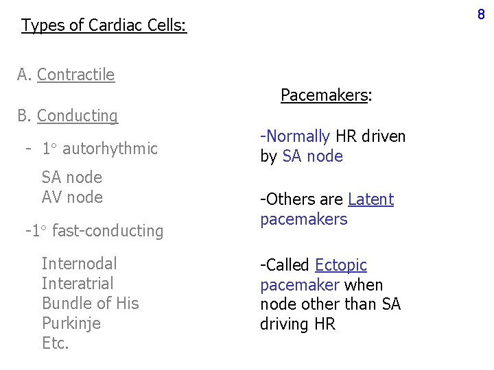 8 Types of Cardiac Cells: A. Contractile Pacemakers: B. Conducting - 1 autorhythmic SA 8 Types of Cardiac Cells: A. Contractile Pacemakers: B. Conducting - 1 autorhythmic SA