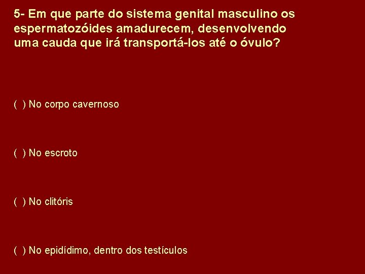 5 - Em que parte do sistema genital masculino os espermatozóides amadurecem, desenvolvendo uma