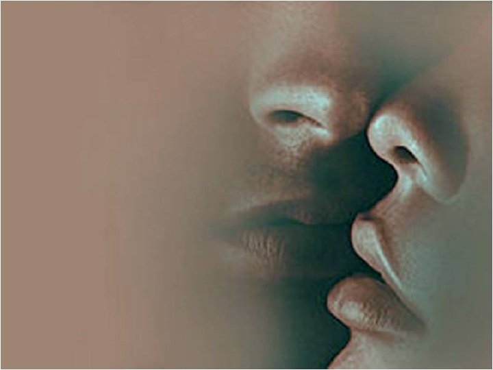 Wer je gelebt in Liebesarmen, der kann im Leben nie verarmen. T. Storm 