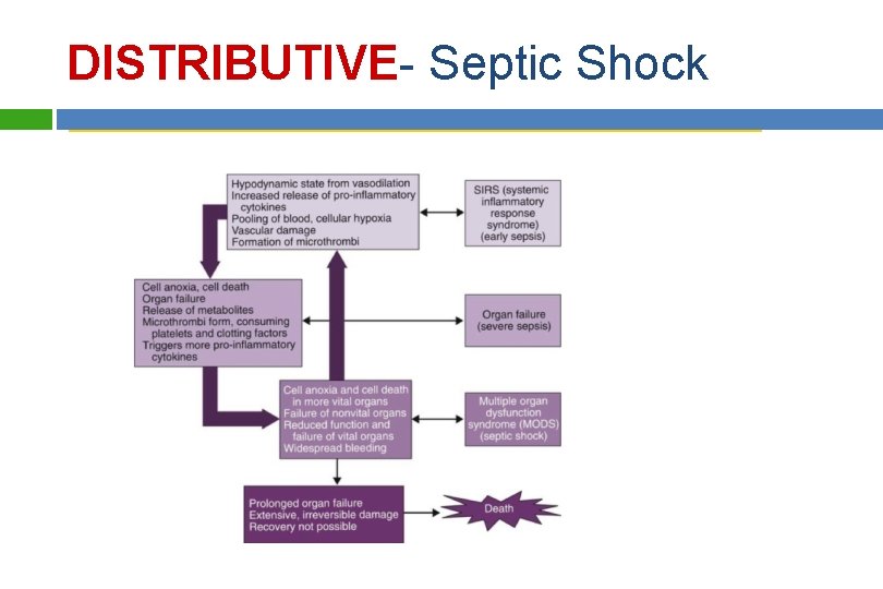 DISTRIBUTIVE- Septic Shock Copyright © 2014 by Mosby, an imprint of Elsevier Inc. 