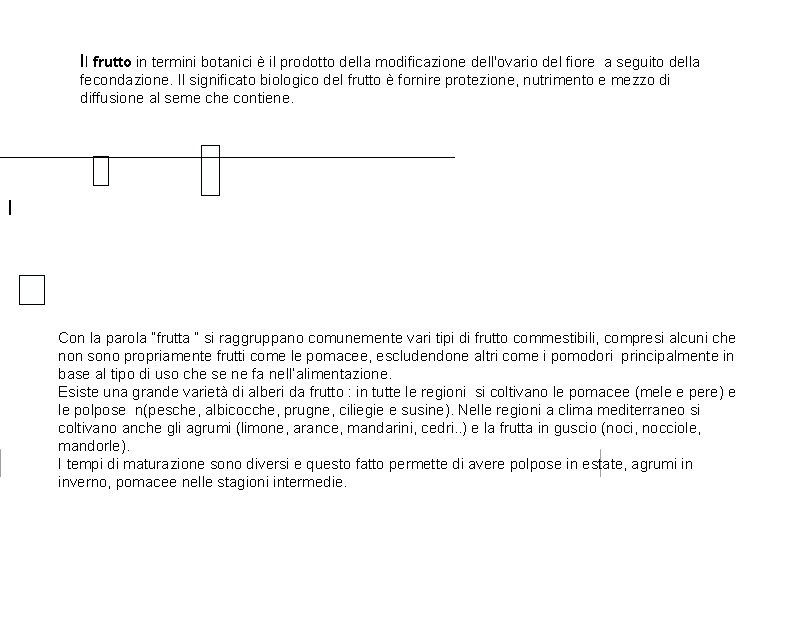 Il frutto in termini botanici è il prodotto della modificazione dell'ovario del fiore a