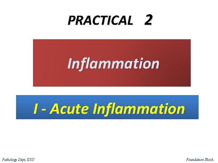 PRACTICAL 2 Inflammation I - Acute Inflammation Pathology Dept, KSU Foundation Block 