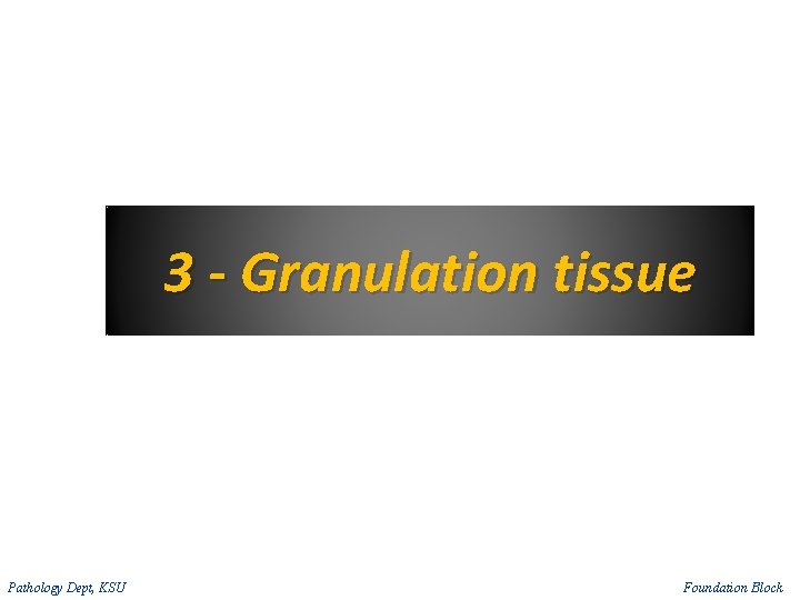 3 - Granulation tissue Pathology Dept, KSU Foundation Block 