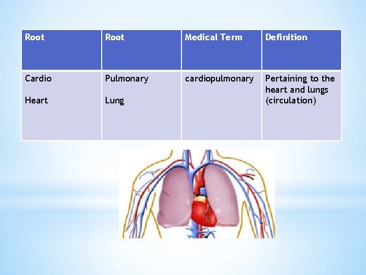 Root Medical Term Definition Cardio Pulmonary cardiopulmonary Heart Lung Pertaining to the heart and
