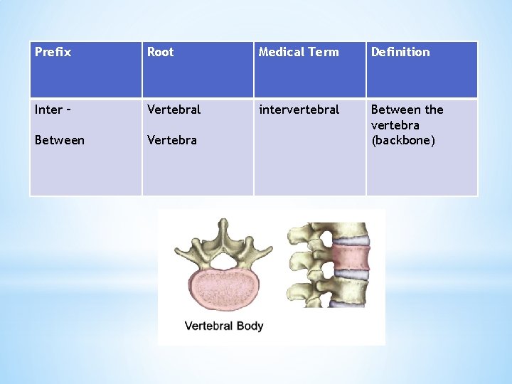 Prefix Root Medical Term Definition Inter – Vertebral intervertebral Between Vertebra Between the vertebra