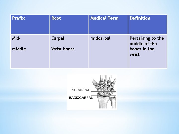 Prefix Root Medical Term Definition Mid- Carpal midcarpal middle Wrist bones Pertaining to the