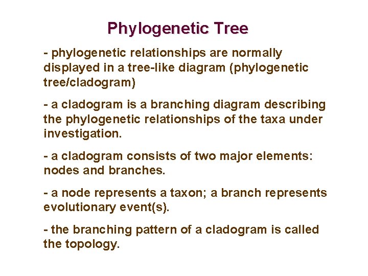 Phylogenetic Tree - phylogenetic relationships are normally displayed in a tree-like diagram (phylogenetic tree/cladogram)