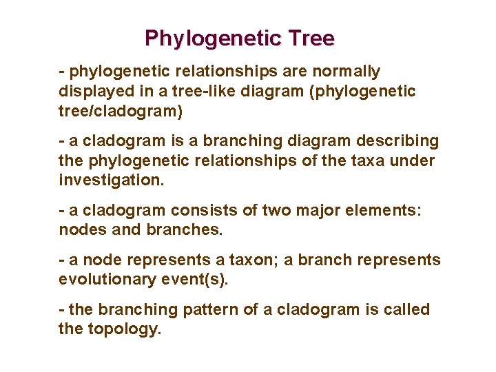 Phylogenetic Tree - phylogenetic relationships are normally displayed in a tree-like diagram (phylogenetic tree/cladogram) Phylogenetic Tree - phylogenetic relationships are normally displayed in a tree-like diagram (phylogenetic tree/cladogram)