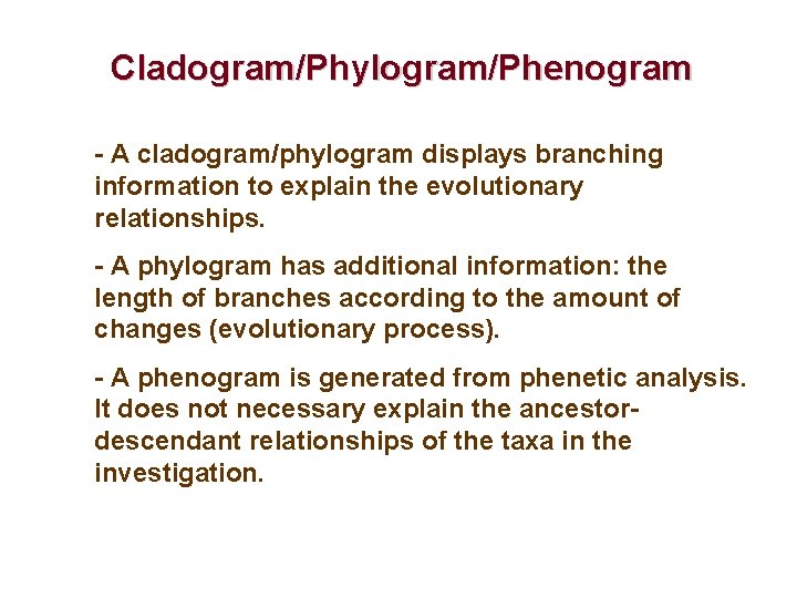 Cladogram/Phylogram/Phenogram - A cladogram/phylogram displays branching information to explain the evolutionary relationships. - A