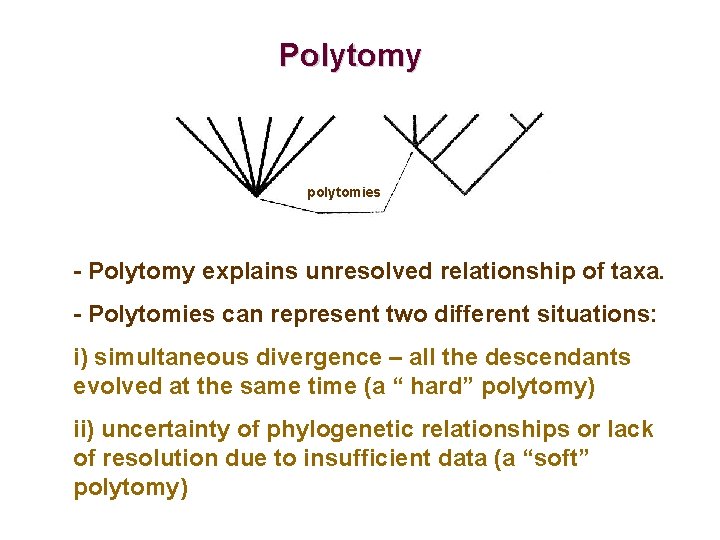 Polytomy polytomies - Polytomy explains unresolved relationship of taxa. - Polytomies can represent two