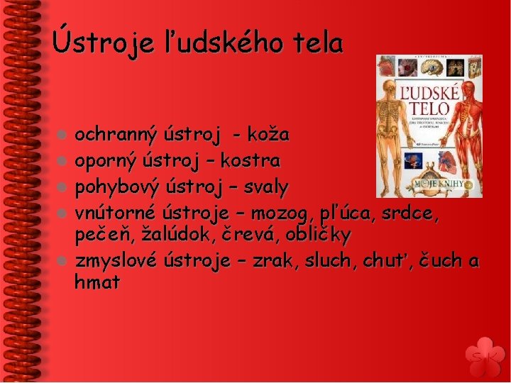 Ústroje ľudského tela l l l ochranný ústroj - koža oporný ústroj – kostra