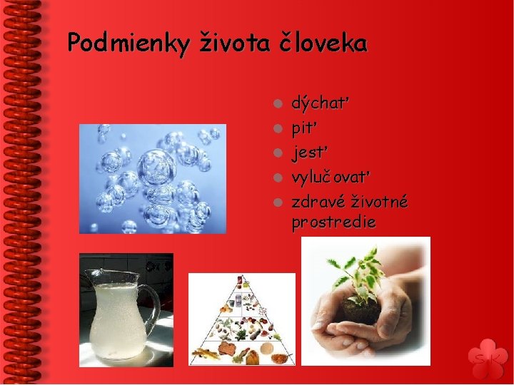 Podmienky života človeka l l l dýchať piť jesť vylučovať zdravé životné prostredie 