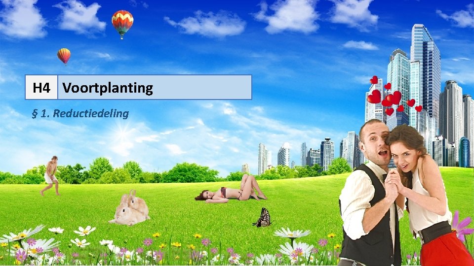 H 4 Voortplanting § 1. Reductiedeling 