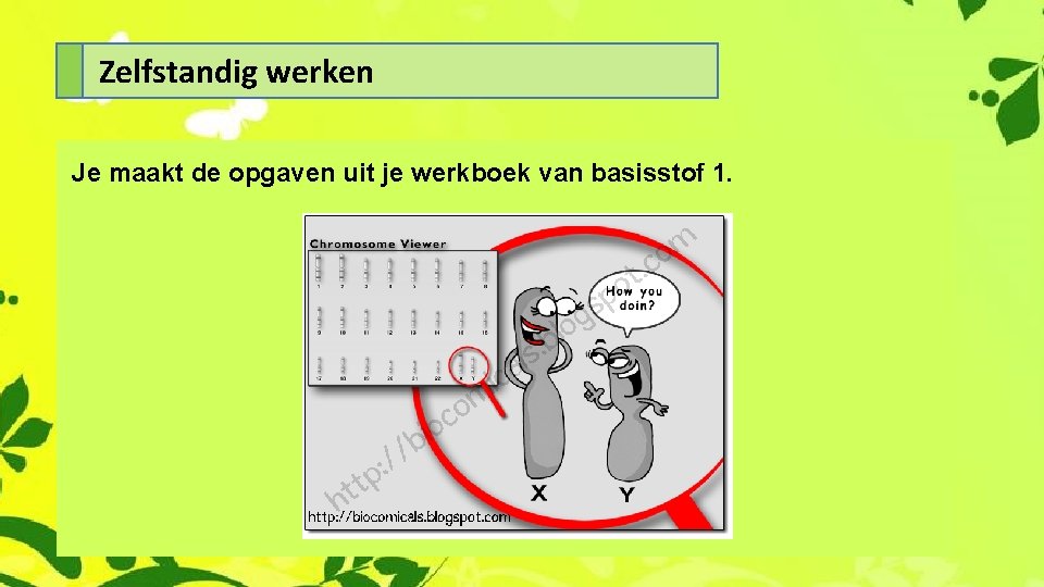 Zelfstandig werken Je maakt de opgaven uit je werkboek van basisstof 1. 