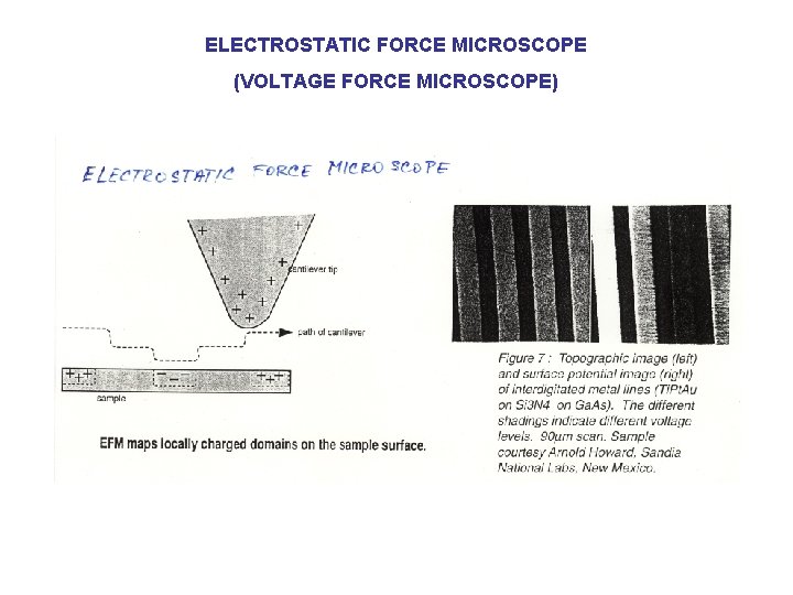 ELECTROSTATIC FORCE MICROSCOPE (VOLTAGE FORCE MICROSCOPE) 