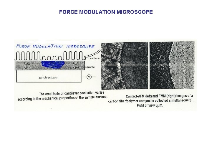 FORCE MODULATION MICROSCOPE 