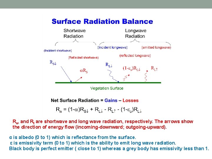 Rs, and Rl are shortwave and long wave radiation, respectively. The arrows show the
