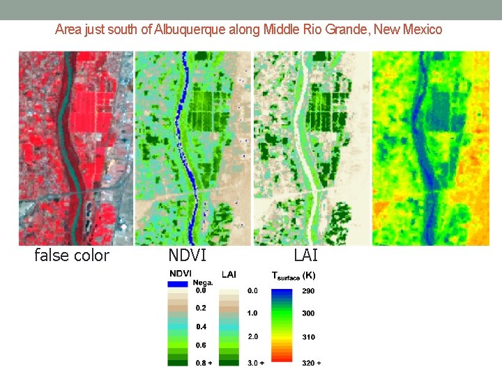 Area just south of Albuquerque along Middle Rio Grande, New Mexico false color NDVI
