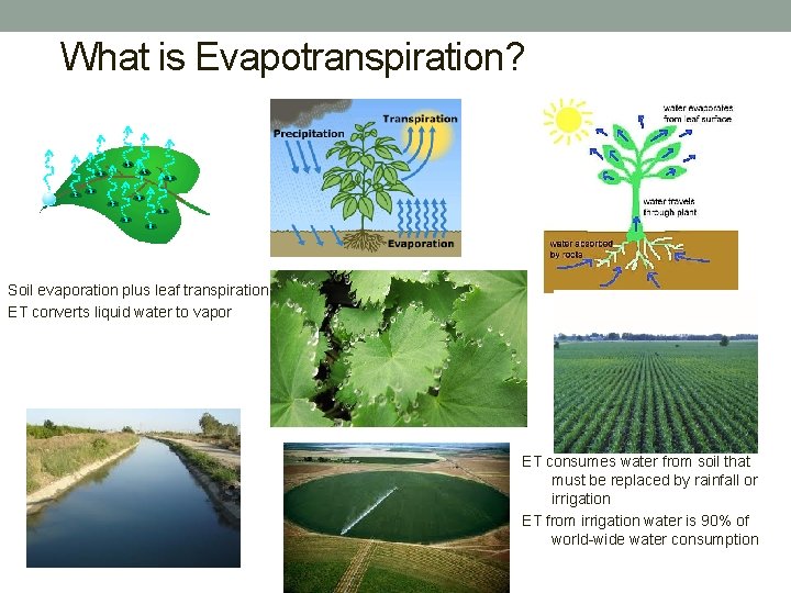 What is Evapotranspiration? Soil evaporation plus leaf transpiration ET converts liquid water to vapor