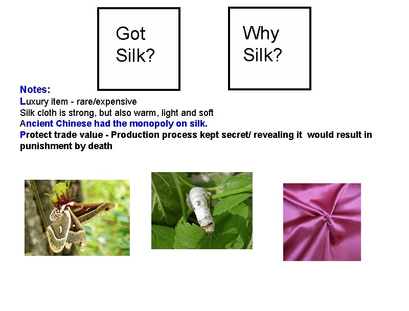 Got Silk? Why Silk? Notes: Luxury item - rare/expensive Silk cloth is strong, but