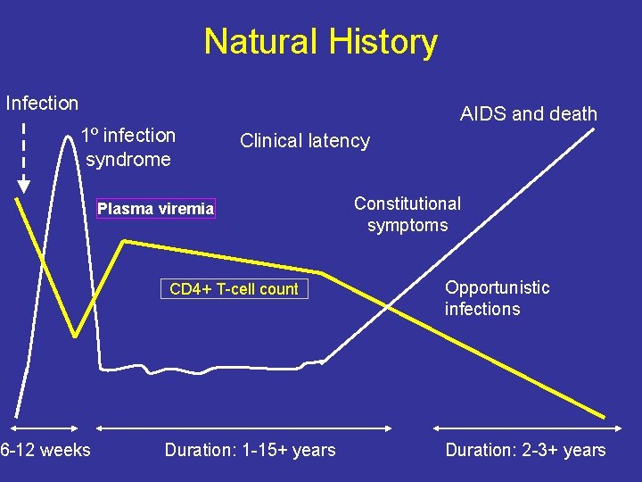 Natural History Infection 1º infection syndrome 6 -12 weeks AIDS and death Clinical latency