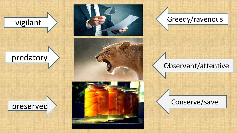 vigilant predatory preserved Greedy/ravenous Observant/attentive Conserve/save 