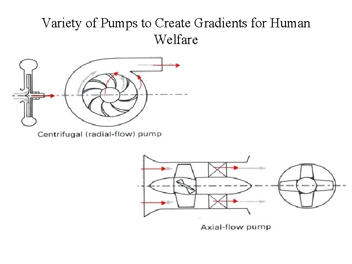 Variety of Pumps to Create Gradients for Human Welfare Variety of Pumps to Create Gradients for Human Welfare