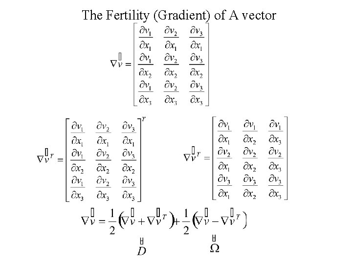 The Fertility (Gradient) of A vector The Fertility (Gradient) of A vector