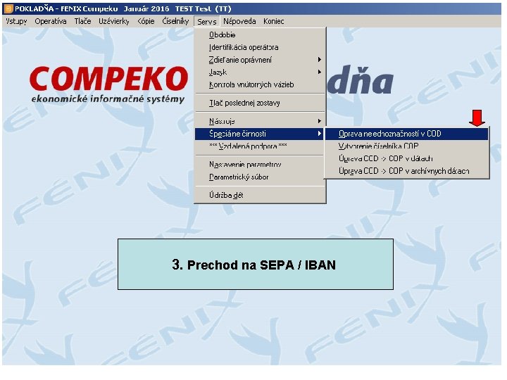 3. Prechod na SEPA / IBAN 