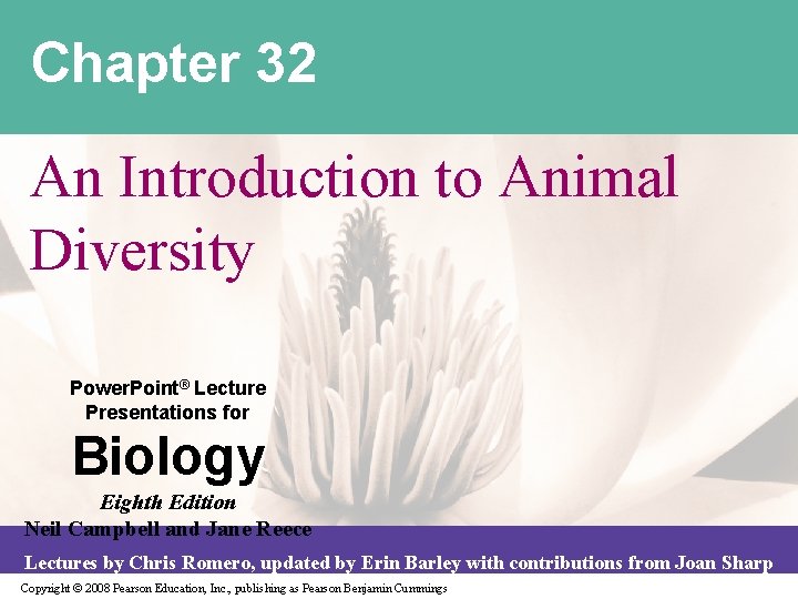 Chapter 32 An Introduction to Animal Diversity Power. Point® Lecture Presentations for Biology Eighth