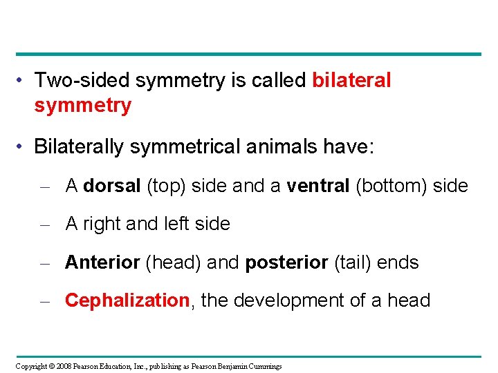  • Two-sided symmetry is called bilateral symmetry • Bilaterally symmetrical animals have: –