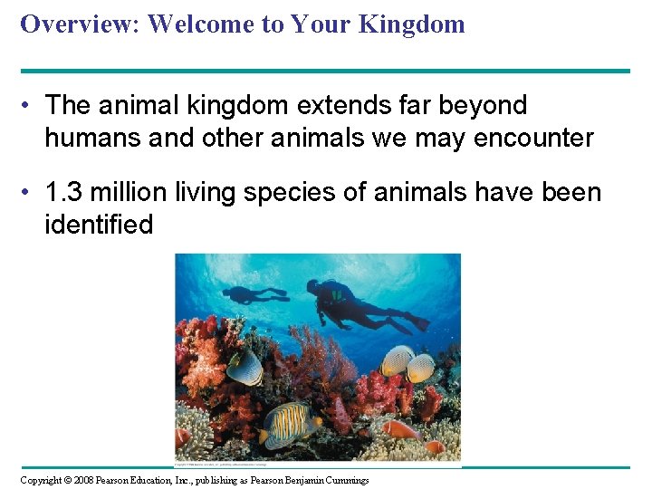 Overview: Welcome to Your Kingdom • The animal kingdom extends far beyond humans and