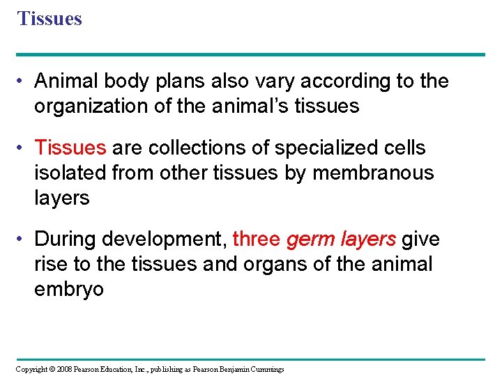 Tissues • Animal body plans also vary according to the organization of the animal’s