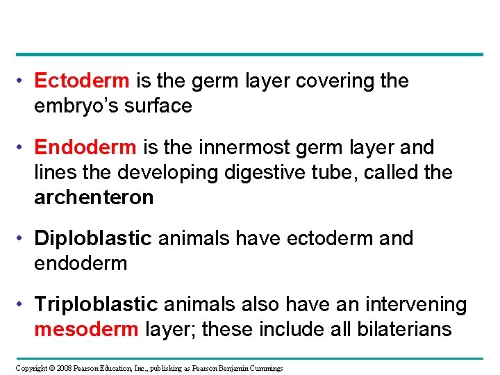  • Ectoderm is the germ layer covering the embryo’s surface • Endoderm is