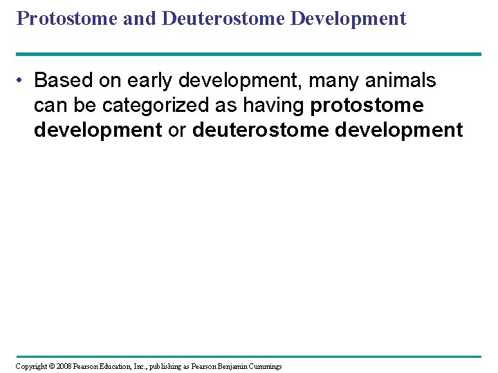 Protostome and Deuterostome Development • Based on early development, many animals can be categorized