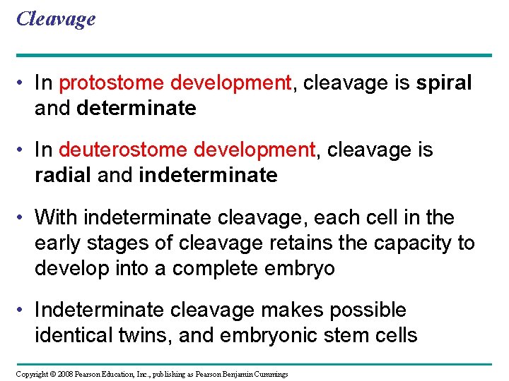 Cleavage • In protostome development, cleavage is spiral and determinate • In deuterostome development,