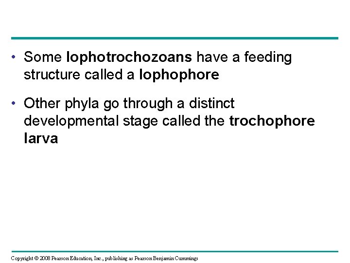  • Some lophotrochozoans have a feeding structure called a lophophore • Other phyla