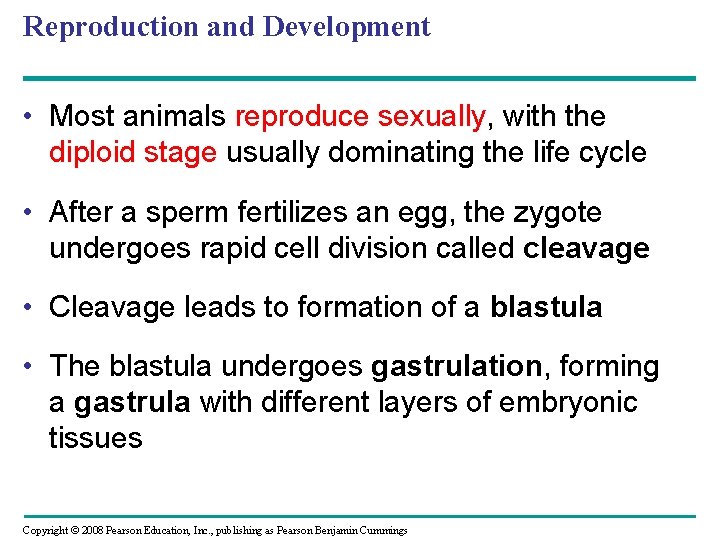 Reproduction and Development • Most animals reproduce sexually, with the diploid stage usually dominating