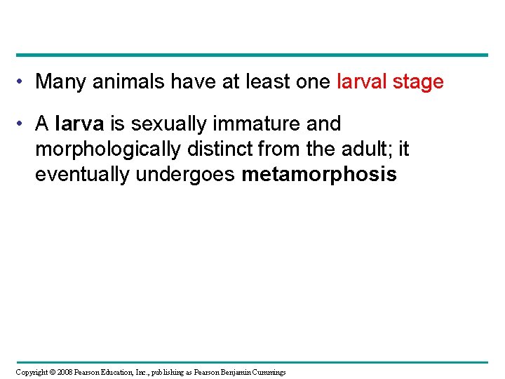  • Many animals have at least one larval stage • A larva is
