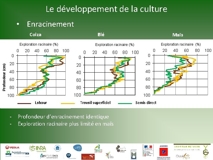 Le développement de la culture • Enracinement Colza Blé Exploration racinaire (%) Profondeur (cm)