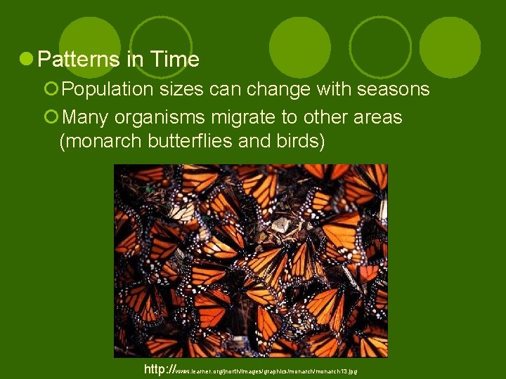 l Patterns in Time ¡Population sizes can change with seasons ¡Many organisms migrate to
