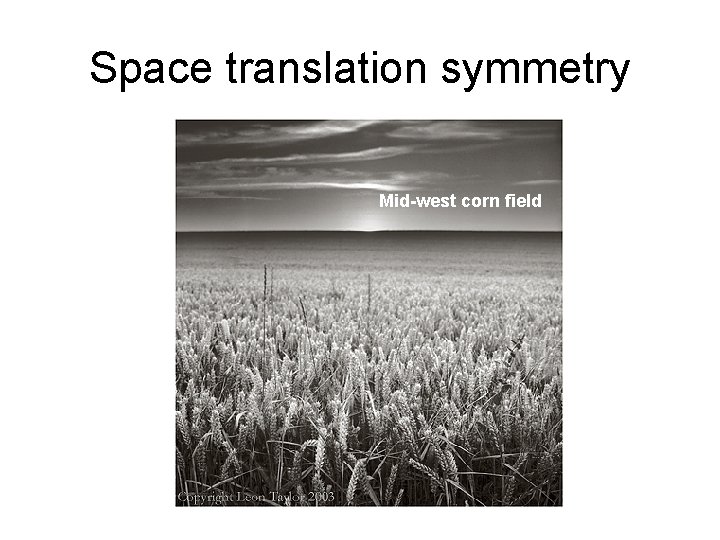 Space translation symmetry Mid-west corn field 