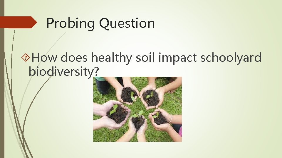Probing Question How does healthy soil impact schoolyard biodiversity? 
